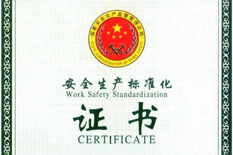 集團取得安全生產(chǎn)標(biāo)準(zhǔn)化三級企業(yè)證書